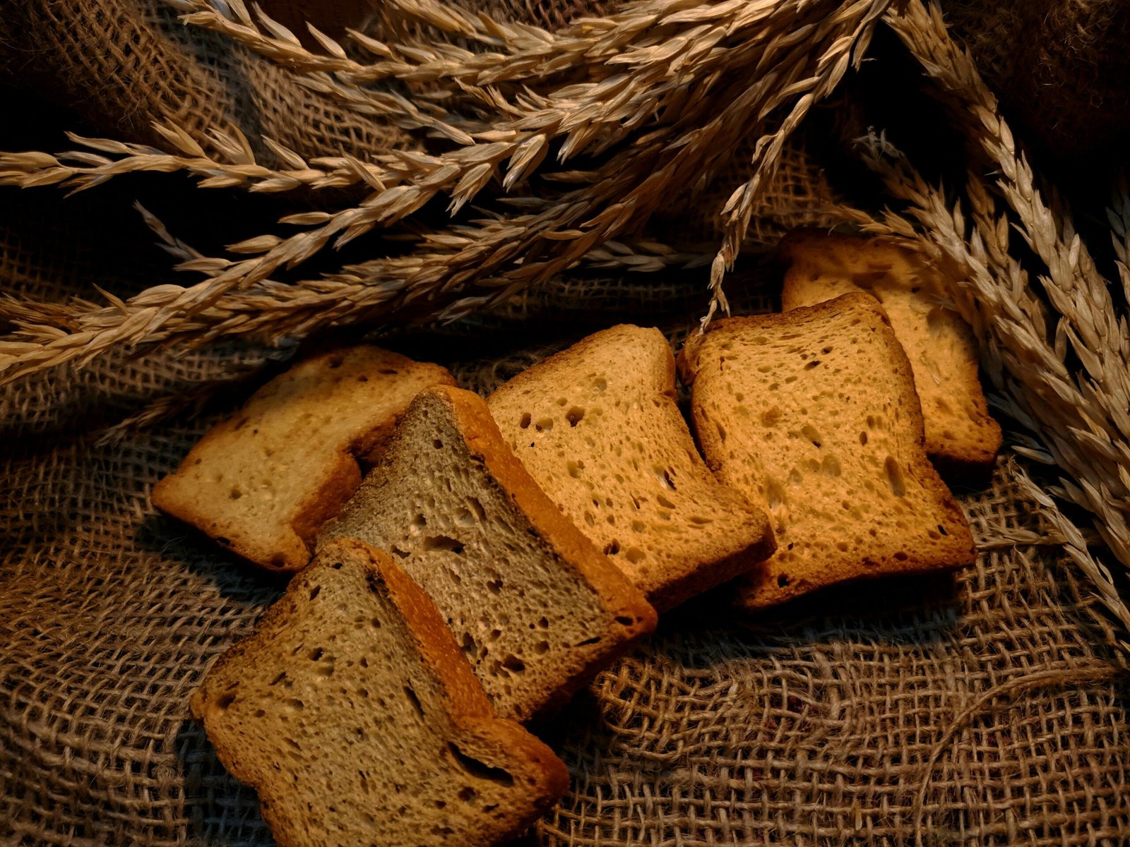 toast4